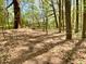 Winding walking path through a wooded area with mature trees, providing a natural escape at 2210 Holly Springs Rd, Rockmart, GA 30153