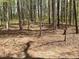 Wooded area with a path through the trees, offering a peaceful natural setting at 2210 Holly Springs Rd, Rockmart, GA 30153