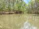Still pond with reflections of the surrounding trees, creating a peaceful and serene environment at 2210 Holly Springs Rd, Rockmart, GA 30153