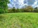 Open field showcasing the natural beauty of the landscape with a distant treeline and cloudy skies at 2210 Holly Springs Rd, Rockmart, GA 30153