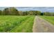 Expansive grassy field with a driveway leading to a serene and private residence at 2210 Holly Springs Rd, Rockmart, GA 30153