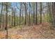 Lush wooded land offers a tranquil escape and a great opportunity at 7497 Treehouse Ct, Douglasville, GA 30135