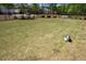 Community dog park with lush green grass and ample space for dogs to play and roam freely at 920 Wemberley Ln, Marietta, GA 30064