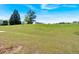 Lush, grassy backyard with scattered trees under a bright blue sky at 2793 Saddle Horn, Snellville, GA 30039