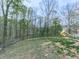 Expansive backyard with mature trees offering privacy and shade, complemented by a charming playset at 841 Butterworth Rd, Canton, GA 30114