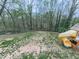 Spacious backyard featuring a playhouse and slide amidst mature trees at 841 Butterworth Rd, Canton, GA 30114