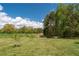 Expansive backyard with lush green grass and mature trees, offering a private and tranquil outdoor space at 190 Ccc Rd, Kingston, GA 30145