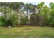 Expansive grassy backyard surrounded by mature trees and fencing at 190 Ccc Rd, Kingston, GA 30145