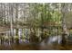 Scenic view of a large pond surrounded by a dense forest landscape at 190 Ccc Rd, Kingston, GA 30145