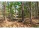 View of a pond in a wooded area, with trees and vegetation surrounding the water at 190 Ccc Rd, Kingston, GA 30145