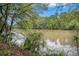 Scenic river view surrounded by lush greenery under a partly cloudy sky, offering a serene natural setting at 306 Teal Ct, Roswell, GA 30076