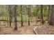 The backyard features a wooded area with trees, leaves, and a dry creek bed at 540 Basil Sw Ct, Marietta, GA 30064