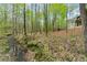 Scenic view of the backyard with a tranquil stream flowing through a wooded area at 208 Greenhill Dr, Dallas, GA 30157