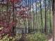 Fenced backyard with lots of privacy in a lush wooded setting at 1190 Mosspointe Dr, Roswell, GA 30075