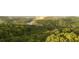 Lush green trees fill the landscape under a soft, misty sky and a distant rainbow at 3300 Windy Ridge Se Pkwy # 1501, Atlanta, GA 30339