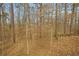 Natural wooded area featuring tall trees, a leaf-covered ground, and a tranquil setting at 3300 Windy Ridge Se Pkwy # 1501, Atlanta, GA 30339