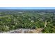 An aerial shot shows houses surrounded by lush greenery with a distant cityscape in the background at 163 Neese Farm Dr, Woodstock, GA 30188