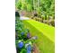 Large green backyard with blooming hydrangeas, manicured lawn, and outdoor grill area at 163 Neese Farm Dr, Woodstock, GA 30188