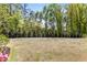 Expansive backyard, beautifully landscaped with lush green grass and mature trees at 5780 Heards Forest Dr, Atlanta, GA 30328