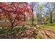 Landscaped front yard with a mature Japanese Maple tree and a charming garden path at 6 Lullwater Ne Est, Atlanta, GA 30307