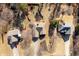 Birds-eye-view of neighboring homes showcasing roof styles, driveways, and yard layouts at 46 Centerport Dr, White, GA 30184