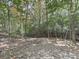 Secluded backyard featuring a stone fire pit and chair, perfect for enjoying nature at 1166 Upper Sweetwater Se Trl, White, GA 30184