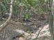 Creek in the backyard, a perfect outdoor oasis for enjoying nature at 1166 Upper Sweetwater Se Trl, White, GA 30184