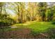 View of the expansive backyard, showcasing the lush lawn and peaceful surroundings at 1919 Wellbourne Ne Dr, Atlanta, GA 30324