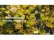 Aerial view of property bordering the Morningside Nature Preserve at 1919 Wellbourne Ne Dr, Atlanta, GA 30324