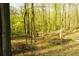 Scenic nature trail winding through a lush green forest, perfect for outdoor recreation and enjoying the natural surroundings at 1919 Wellbourne Ne Dr, Atlanta, GA 30324