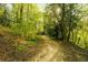 A scenic path through a lush wooded area, ideal for walking and enjoying nature at 1919 Wellbourne Ne Dr, Atlanta, GA 30324
