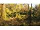 Lush, wooded area creating a natural and private setting at 1919 Wellbourne Ne Dr, Atlanta, GA 30324