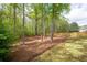 Spacious backyard with mature trees and mulch ground cover; offers privacy and shade for relaxation at 4421 Wooded Oaks Nw, Kennesaw, GA 30152