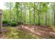 Lush backyard with mature trees and a well-maintained lawn, ideal for outdoor activities and relaxation at 4421 Wooded Oaks Nw, Kennesaw, GA 30152