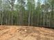 Future homesite showing a partially cleared wooded lot at 140 Cedarwood Ln, Roswell, GA 30075