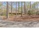 Long driveway leading to a home with mature trees at 452 Hightower Ridge Rd, Covington, GA 30014