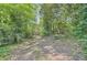 A densely wooded area showing some of the backyard behind the house at 1105 S Parkwood Dr, Forest Park, GA 30297