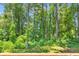 View of a peaceful and lush green forest, offering a serene and private environment at 1211 Liverpool Pointe, Lawrenceville, GA 30046