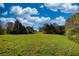 A serene land with an expansive open space with trees, ideal for recreation and relaxation in a natural setting at 610 Loth Wages Rd, Dacula, GA 30019