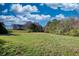 A sprawling acreage featuring picturesque landscapes, including lush green grass and mature trees under a bright blue sky at 610 Loth Wages Rd, Dacula, GA 30019