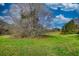 A scenic land featuring verdant grass and trees beneath a sky with scattered clouds, perfect for embracing nature's tranquility at 610 Loth Wages Rd, Dacula, GA 30019