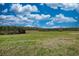 Scenic view of lush, rolling pasture land against a partly cloudy blue sky at 610 Loth Wages Rd, Dacula, GA 30019