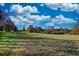 Large grassy area set under a vibrant blue sky with clouds, presenting numerous options for agriculture or development at 610 Loth Wages Rd, Dacula, GA 30019