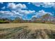 Beautiful, level land offering a spacious setting for new construction or other development opportunities at 610 Loth Wages Rd, Dacula, GA 30019