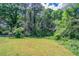 Large, lush backyard with mature trees and greenery offering privacy at 1973 Columbia Dr, Decatur, GA 30032