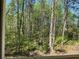 Image showing the wooded backyard from a screened porch at 5851 Swan Walk, Sugar Hill, GA 30518