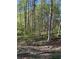 This image shows wooded backyard with a fence that lines the property at 5851 Swan Walk, Sugar Hill, GA 30518