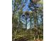 A scenic, low-angle backyard view looking up at tall trees from the porch of this home at 5851 Swan Walk, Sugar Hill, GA 30518