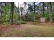 Overgrown backyard with a shed surrounded by trees at 2140 Teri Ln, Conyers, GA 30013
