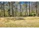 Spacious backyard featuring a well-manicured lawn, mature trees, and a private setting at 4814 Riveredge Cv, Snellville, GA 30039
